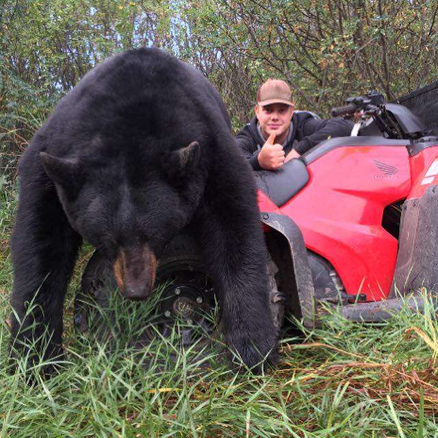 Black Bear Hunts Alberta